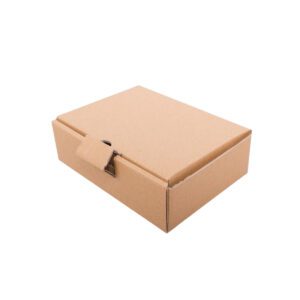 Brown cardboard Royal Mail PIP postal box